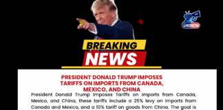 President Donald Trump Imposes Tariffs on Imports from Canada, Mexico, and China