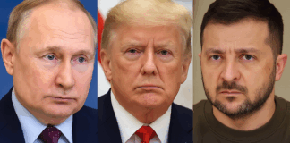 Putin Appoints Envoys for Istanbul Peace Talks as Trump and Zelenskyy Stay on Sidelines