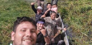 Five Survive 36 Hours on Plane Wreck in Alligator-Infested Bolivian Swamp