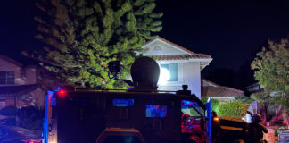 13 Arrested in Massive Crackdown on Armenian Organized Crime Syndicates in U.S.