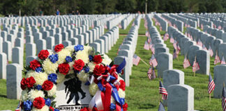 Why Do Americans Celebrate Memorial Day? The Powerful History Behind the Holiday of Heroes