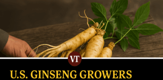 U.S. Ginseng Growers and Breeders Wait on China Trade Deal
