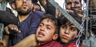 115 Humanitarian Groups Sound Alarm Over Starvation Crisis in Gaza