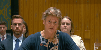 UN Security Council Holds Urgent Session on Gaza Hostage Crisis and Aid Access