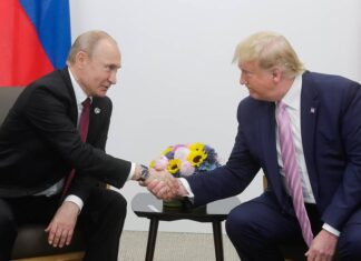 Putin Tells Trump He Is Ready for May 9 Ukraine Ceasefire, TASS Reports