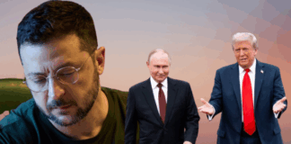 Trump’s U-Turn on Ukraine: From Ceasefire Talk to a Peace Agreement — What We Need to Know