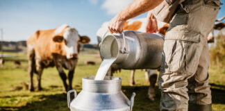 21 sick, 7 hospitalized in Florida raw milk outbreak