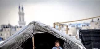 UNICEF Warns: Over 320,000 Gaza Children Face Acute Malnutrition