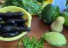 Vegetable Gardening in Fairfax County: A Seasonal Planting Guide
