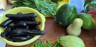 Vegetable Gardening in Fairfax County: A Seasonal Planting Guide