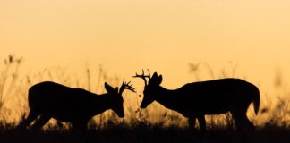 Virginia & D.C. Trending News — Thursday, September 18, 2025