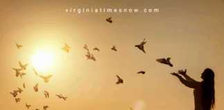 Virginia Times Morning Briefing — Tuesday, September 17, 2025