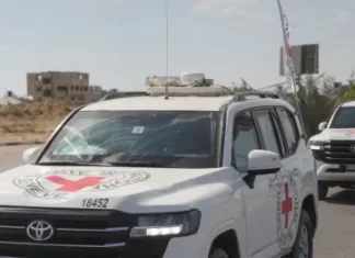 Gaza Receives 15 More Bodies From Israel, Total Reaches 300 Under Ceasefire