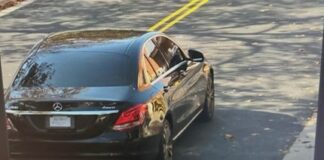 Body-Cam Footage Released in Hybla Valley Hit-and-Run That Killed 62-Year-Old Woman