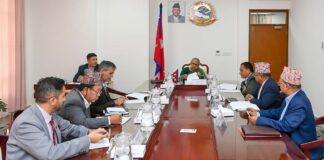 Nepal Recalls Ambassadors from 11 Countries; Cabinet Clears Power, Legal and Sports Decisions
