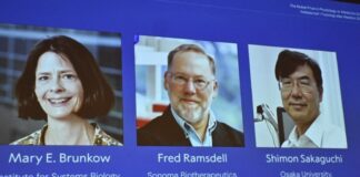 Immune ‘Self-Control’ Wins: Brunkow, Ramsdell, Sakaguchi Take 2025 Nobel in Medicine