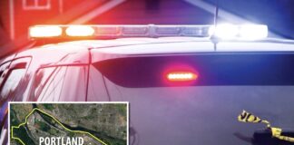 Two Shot, Hospitalized in Portland Shooting Involving Federal Agents, Police Say