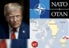 NATO Allies Back Denmark, Warn Tariff Threats Could Trigger “Downward Spiral”