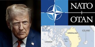 NATO Allies Back Denmark, Warn Tariff Threats Could Trigger “Downward Spiral”