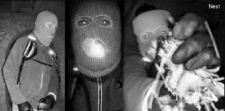 FBI Releases New Doorbell Footage Showing Masked ‘Armed Individual’ in Nancy Guthrie Disappearance