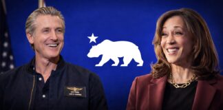 Newsom leads early 2028 Democratic field in new Emerson poll
