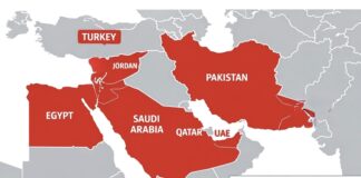 Eight Arab, Muslim States Condemn Israel’s Gaza Ceasefire Breaches, Warn Peace Plan at Risk