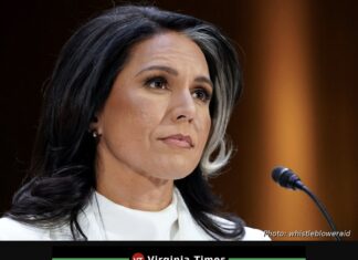 Whistleblower Lawyer Puts Gabbard on Notice for Security Guidance, Warns of Congress Briefing