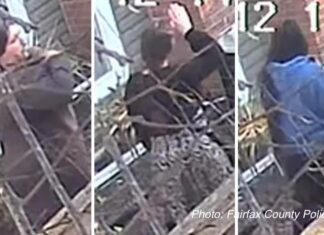 Fairfax County police probe 8 burglaries targeting Asian American homes