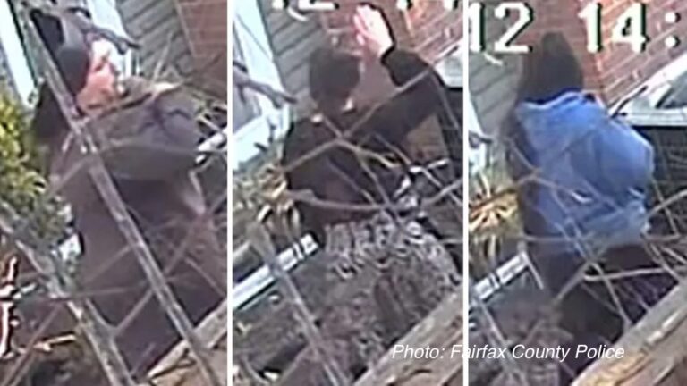 Fairfax County police probe 8 burglaries targeting Asian American homes