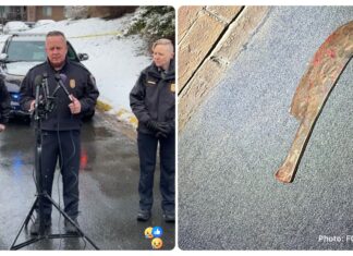 Fairfax Police Shoot Suspect After Mantua Apartment Attack Leaves Two Women Dead, Son-in-Law Critical