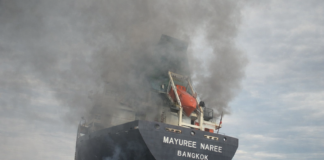 Thai Navy Confirms Attack on Cargo Ship Near Strait of Hormuz, 20 Crew Taken Ashore in Oman