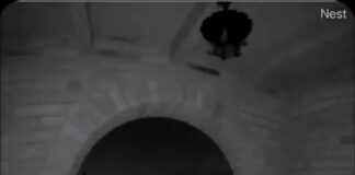 Retired FBI Agent Claims “Porch Guy” Used Walkie-Talkie in Nancy Guthrie Disappearance