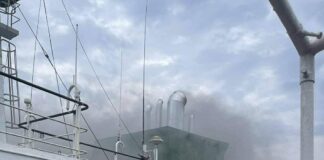 Thai-Flagged Vessel Attacked Off Oman Coast, 20 Crew Members Evacuated