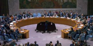 UN Security Council Iran resolution meeting as members adopt Resolution 2817 condemning attacks on Gulf States and Jordan
