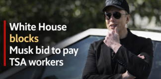White House Declines Musk Offer to Cover TSA Pay During Shutdown