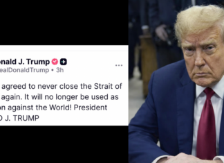 Trump says Iran won’t close Hormuz again, blasts NATO as ‘Paper Tiger’