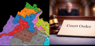 Virginia Supreme Court Voids Congressional Redistricting Referendum