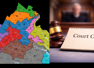Virginia Supreme Court Voids Congressional Redistricting Referendum