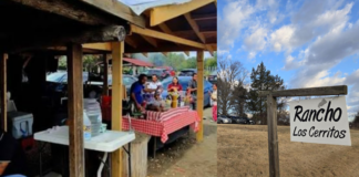 Former Haymarket Ranch Manager Pleads Guilty in Gun, Drug Trafficking Case