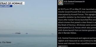 CENTCOM Says Kuwait Intercepted Iranian Missile After Drone Attacks Near Strait of Hormuz