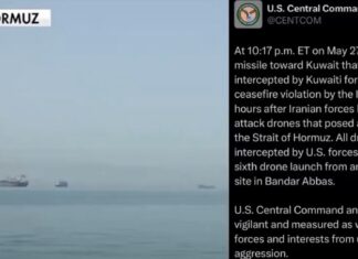 CENTCOM Says Kuwait Intercepted Iranian Missile After Drone Attacks Near Strait of Hormuz