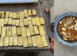 Workers Find Gold Hoard in Dendermonde; VRT Reports €9 Million Value