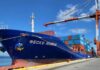 Ukrainian Drones Sink Russian Container Ship in Black Sea