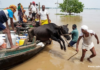 Officials: Bihar Floods Affect More Than 4.14 Million People