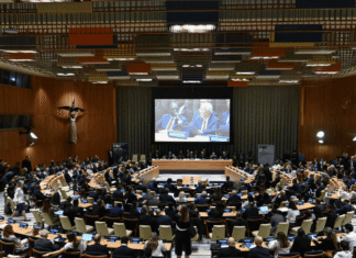 At U.N. Panel, Countries Call for Steady Pandemic Funding