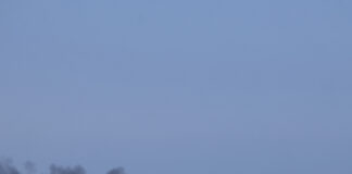Merchant ship trailing a long plume of black smoke at sea under a hazy sky, illustrating calls for a Black Sea naval operation