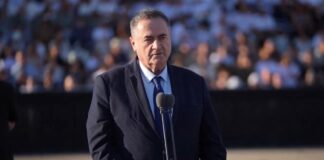 Defense Minister Israel Katz (video screenshot)