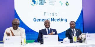 Officials seated at the Africa Energy Bank first general meeting in Abuja, Nigeria
