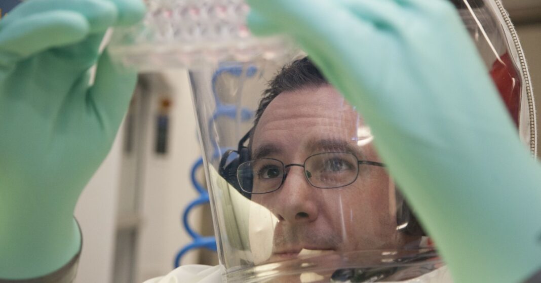 A scientist in protective equipment working in a high-level biosecurity laboratory (file photo)