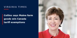 Sen. Susan Collins (portrait)